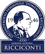 Immagine Notizia